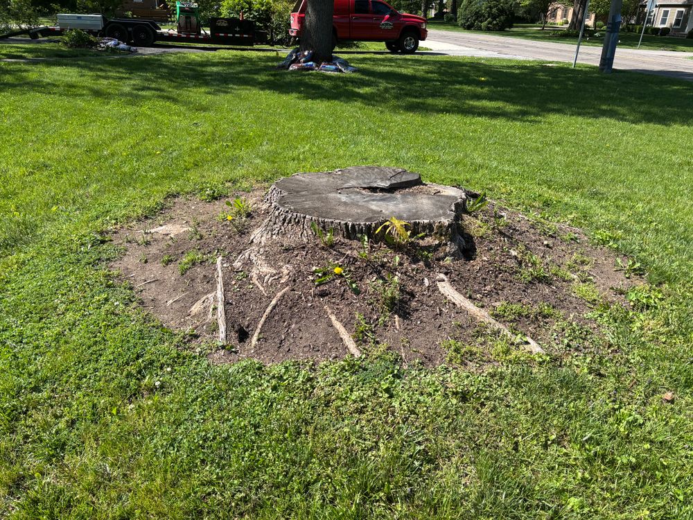 All Photos for Conrad's Stump Removal in Columbus, IN