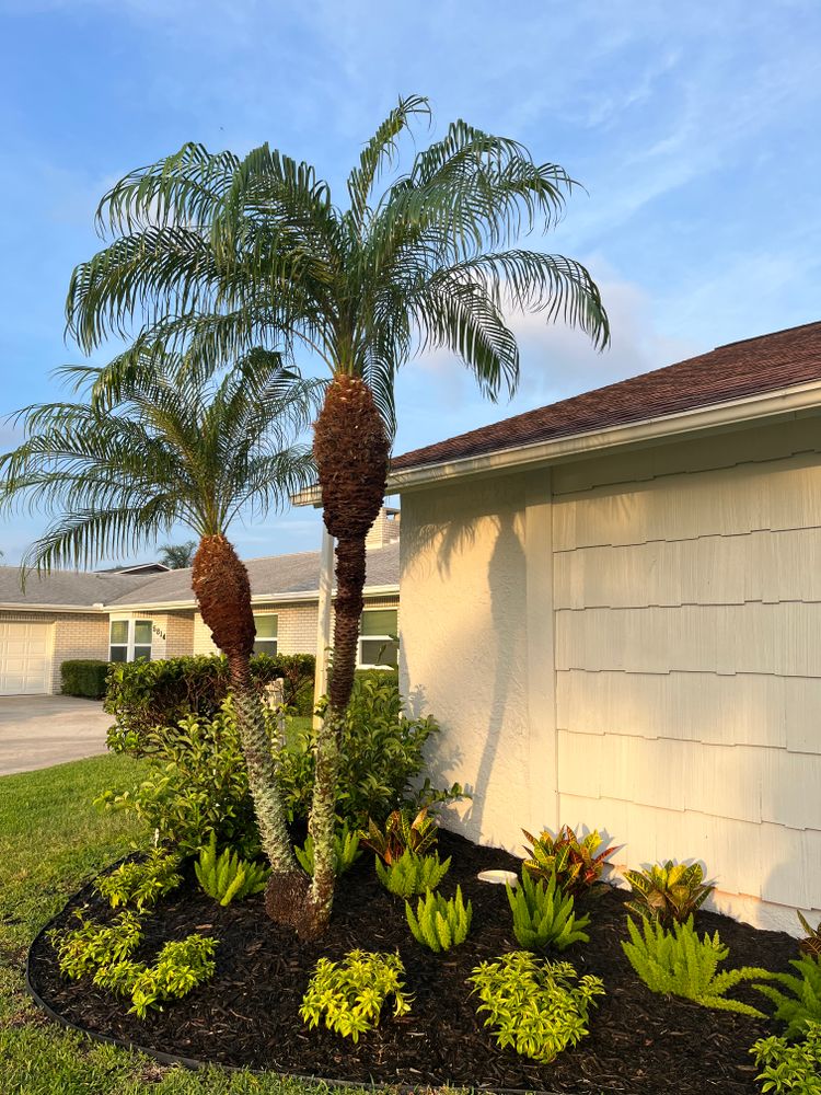 All Photos for Verimay's Garden and Landscaping in Hillsborough County, FL