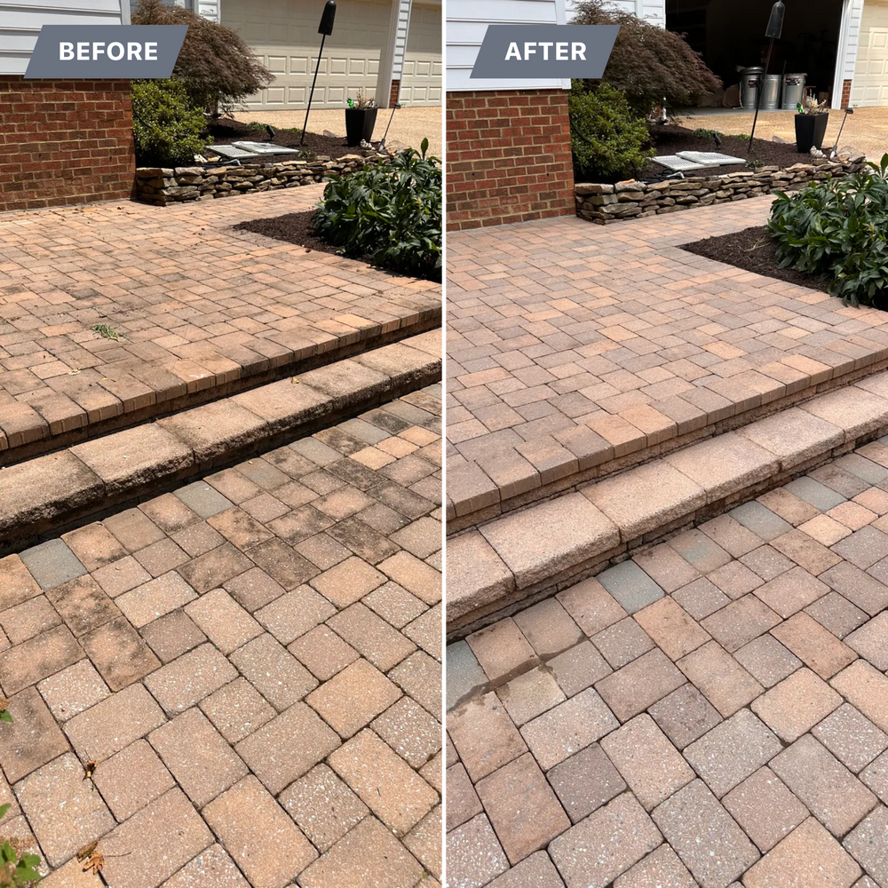 All Photos for LeafTide Solutions in Richmond, VA