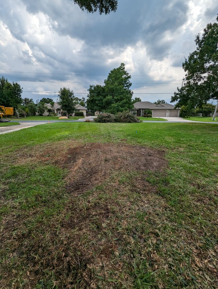 All Photos for Regal Tree Service and Stump Grinding in Wauchula, FL