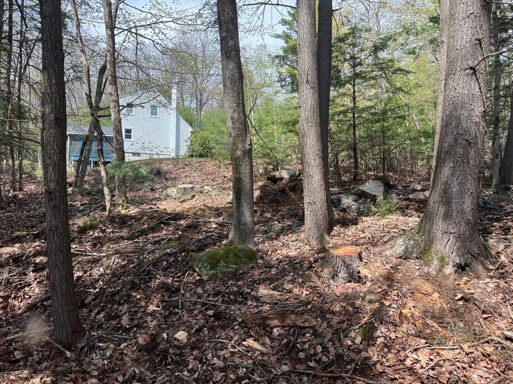All Photos for Abair Tree Service in Weare, NH