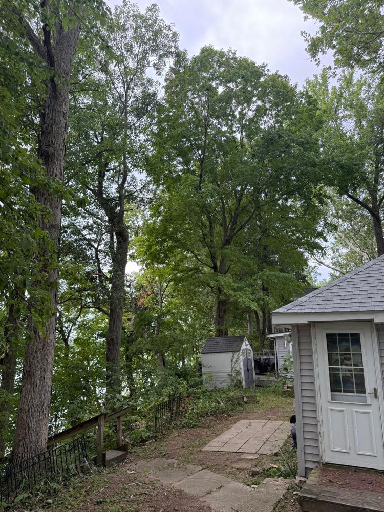 All Photos for Hunnicutt’s Tree Service L.L.C. in Monticello, IN