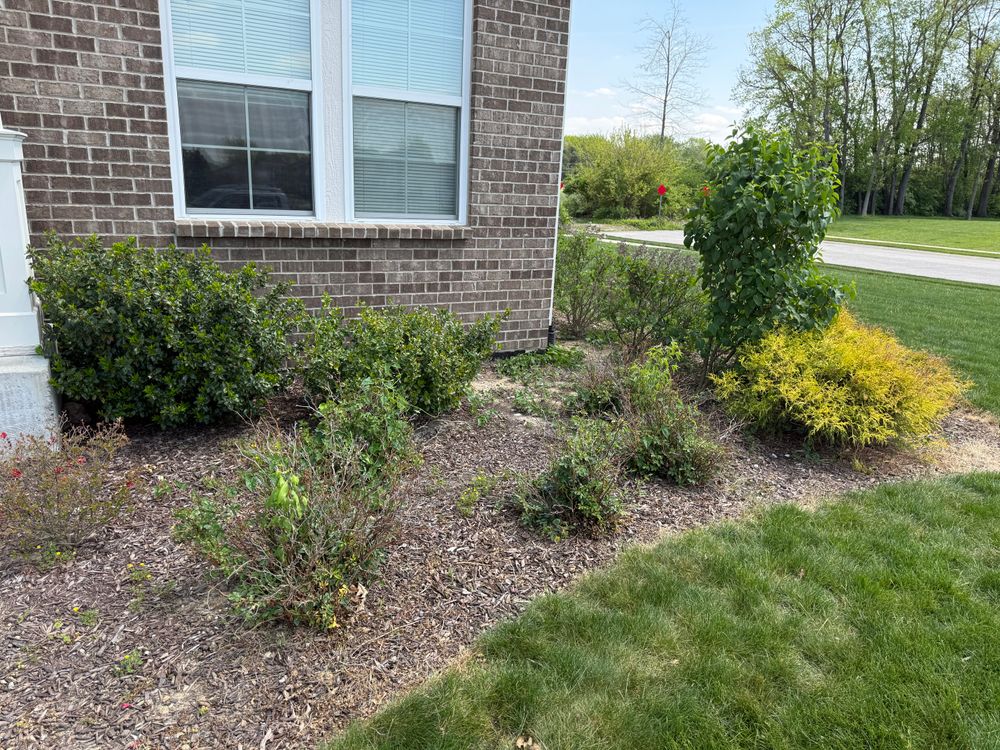 All Photos for Bearforce Lawn Care LLC in Greenfield, IN