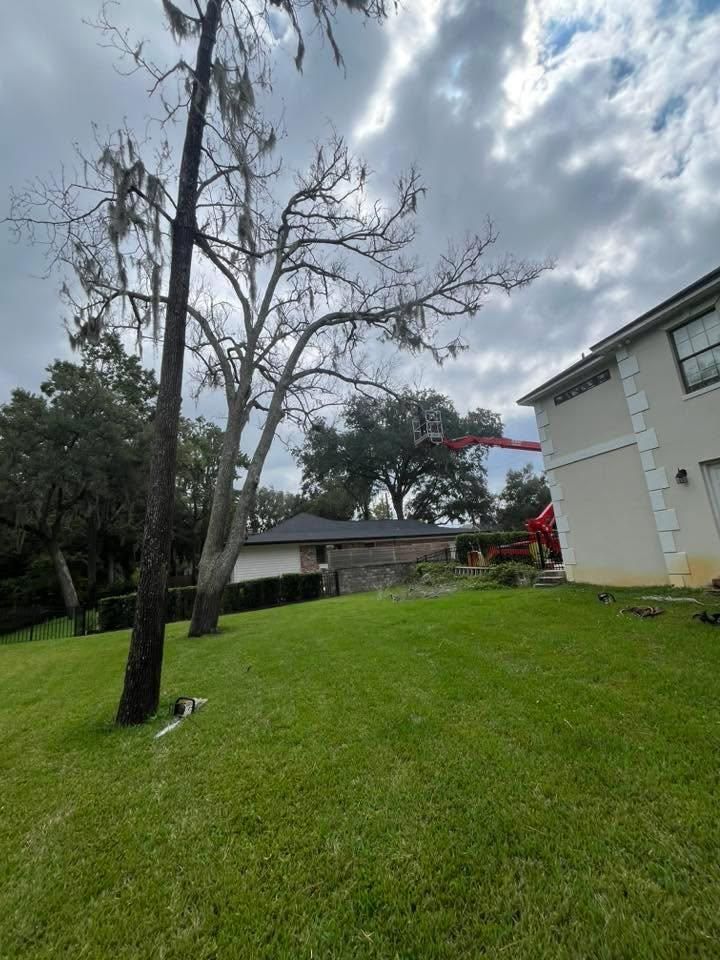 All Photos for Top Notch Tree Experts in Orange Park, FL