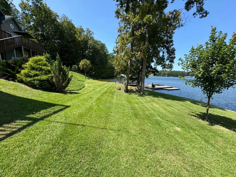 Enhance your lawn's health with our professional aeration service, improving soil compaction and nutrient absorption for lush, vibrant growth. experience a greener future with our expert Lawn Aeration from [Your Company Name]. for Thin Green Line Landscaping & More in Laurens, SC