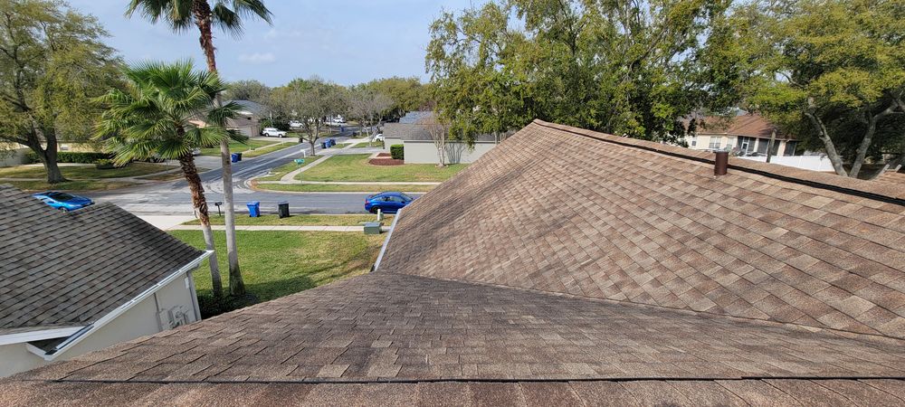 All Photos for Blue Stream Roof Cleaning & Pressure Washing in Tampa, FL