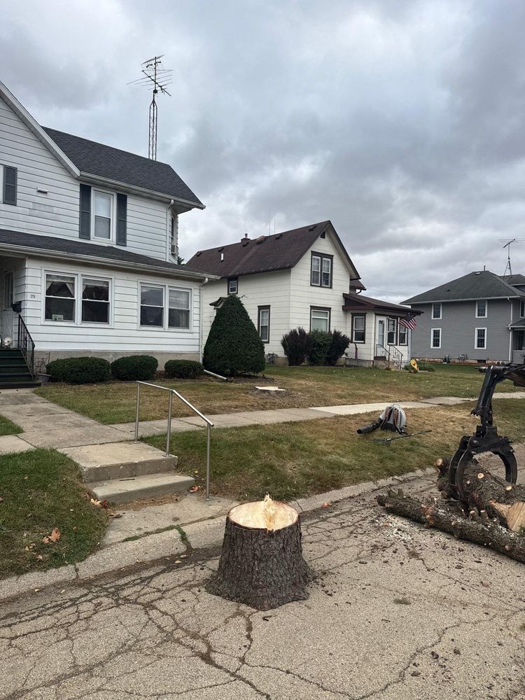 All Photos for Fransen's Tree Service  in Freeport, IL