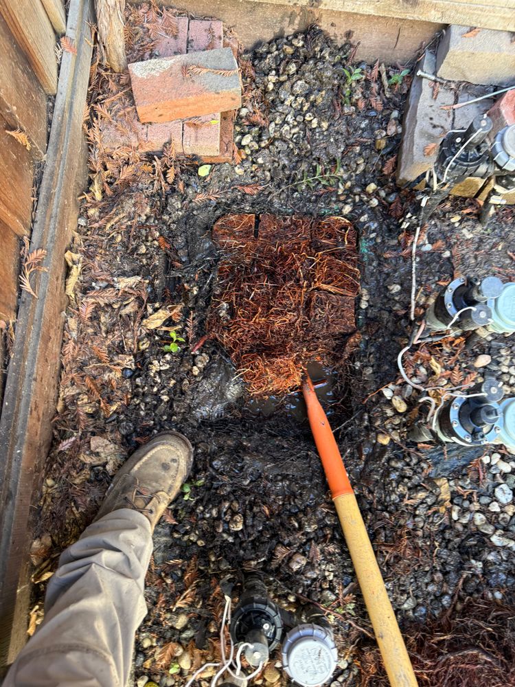 All Photos for CBA Landscaping in Hayward, CA