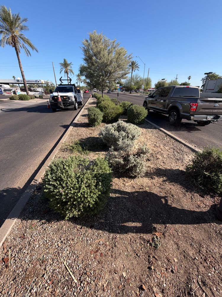 All Photos for Grand Canyon State Landscape Inc. in Surprise, AZ
