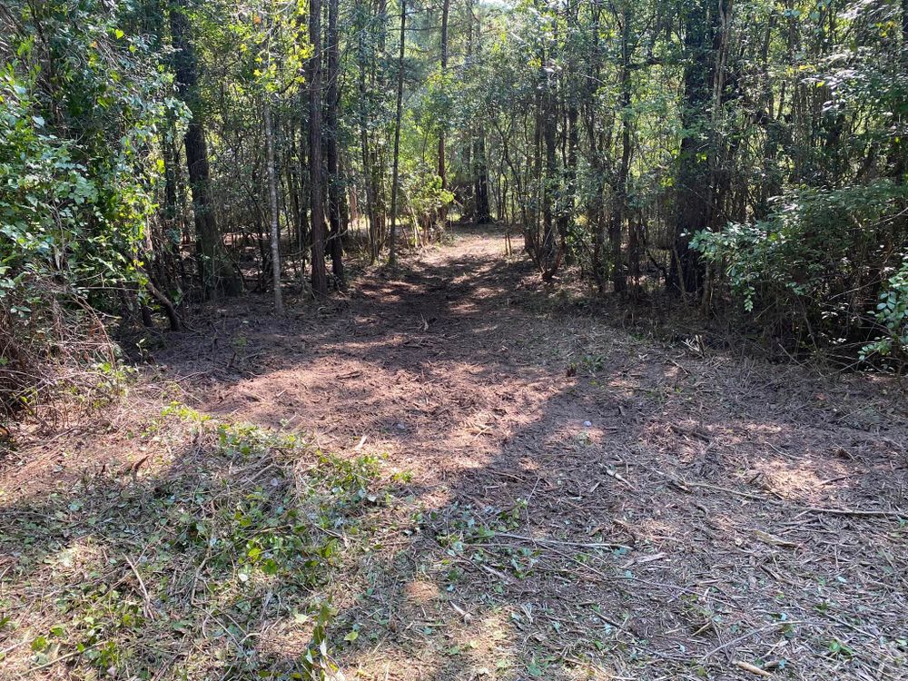 Land Clearing for South Mississippi Land Management LLC in Columbia, Mississippi