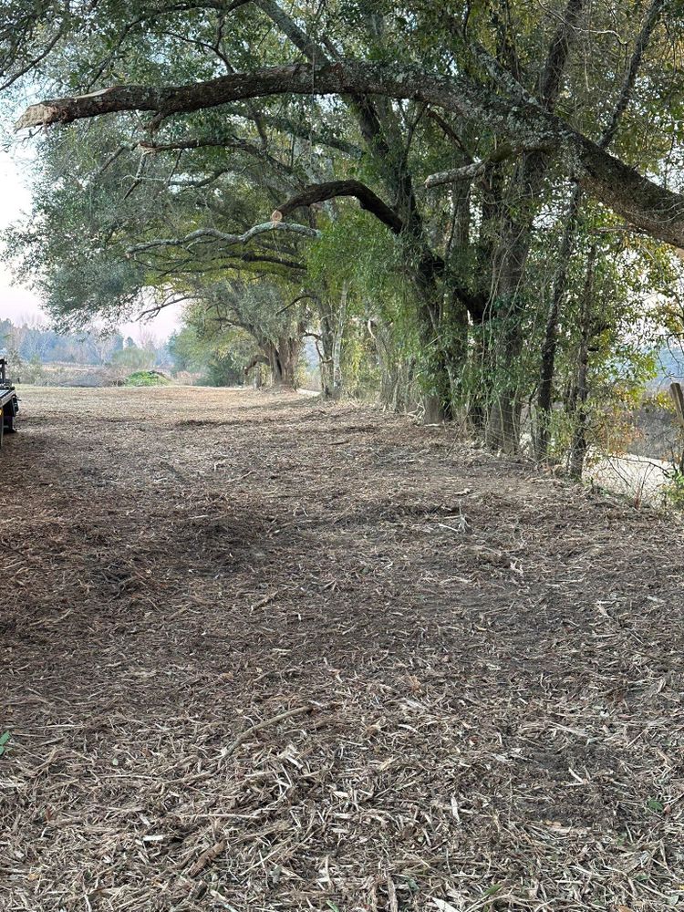 All Photos for White’s Land Maintenance in Milton,, FL