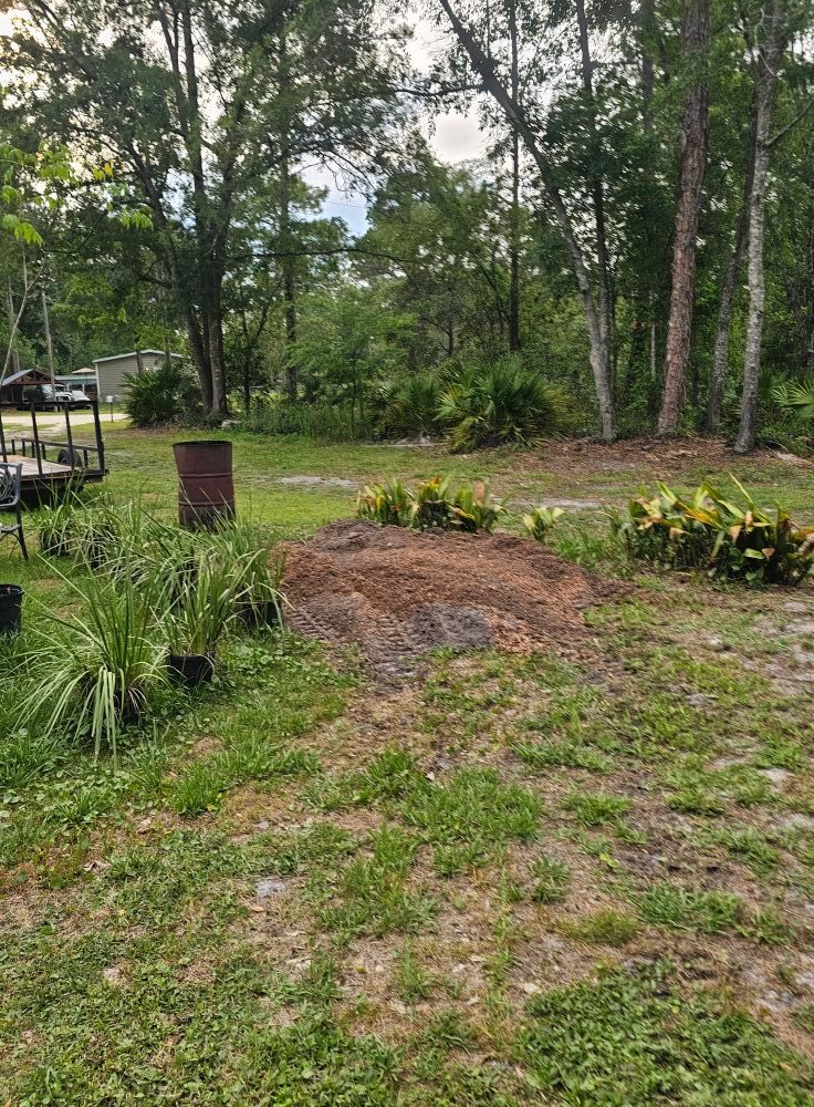 All Photos for Stumps done right LLC in Middleburg, FL