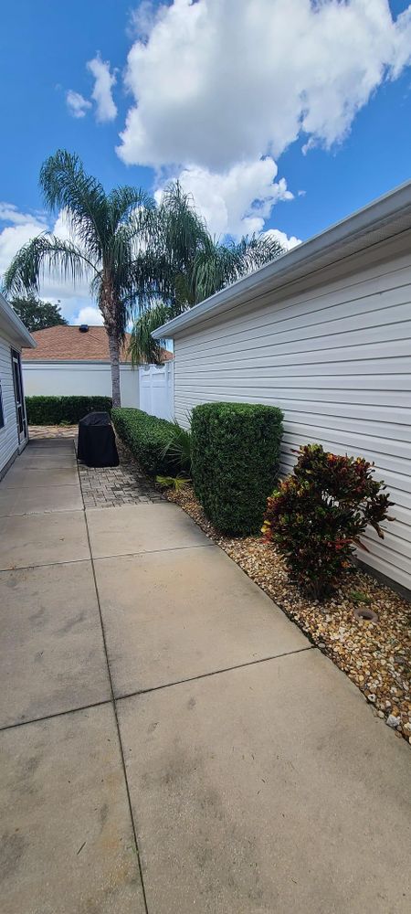 All Photos for TopNotch Landscaping Services  in The Villages, FL