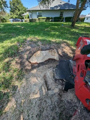 All Photos for Regal Tree Service and Stump Grinding in Wauchula, FL