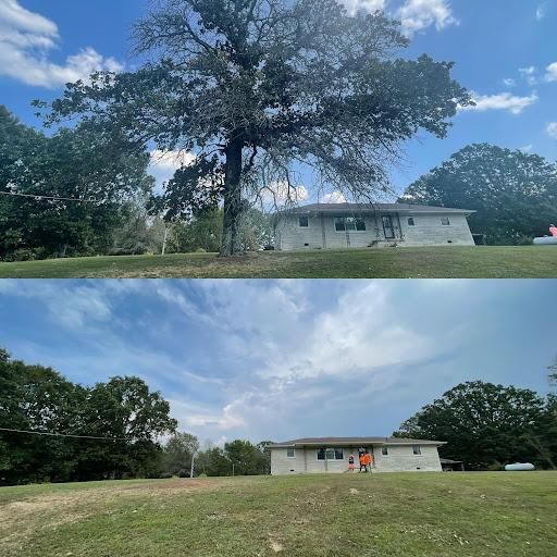 All Photos for Ross Family Tree Service LLC  in Hohenwald, TN