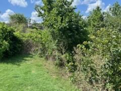 All Photos for Oviedo Land & Garden in Bastrop, TX
