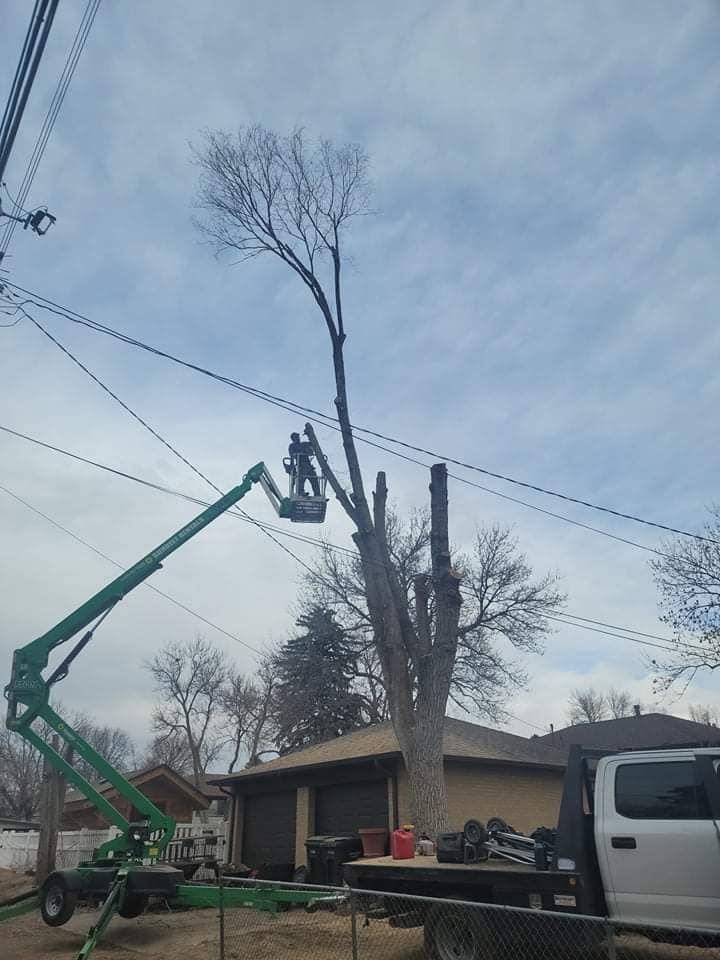 All Photos for Sloan Tree Service in Aurora, CO