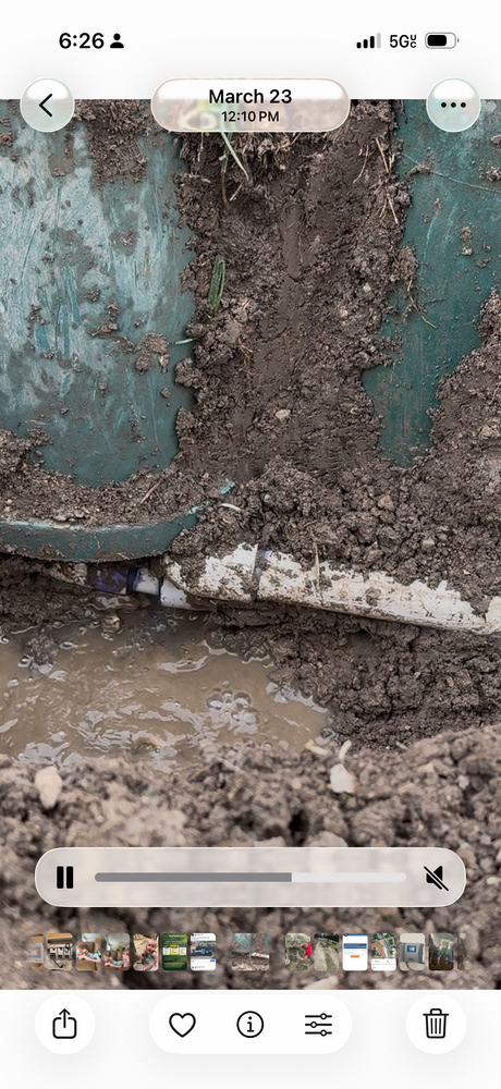 All Photos for Platinum Lawn Service in Santaquin, UT