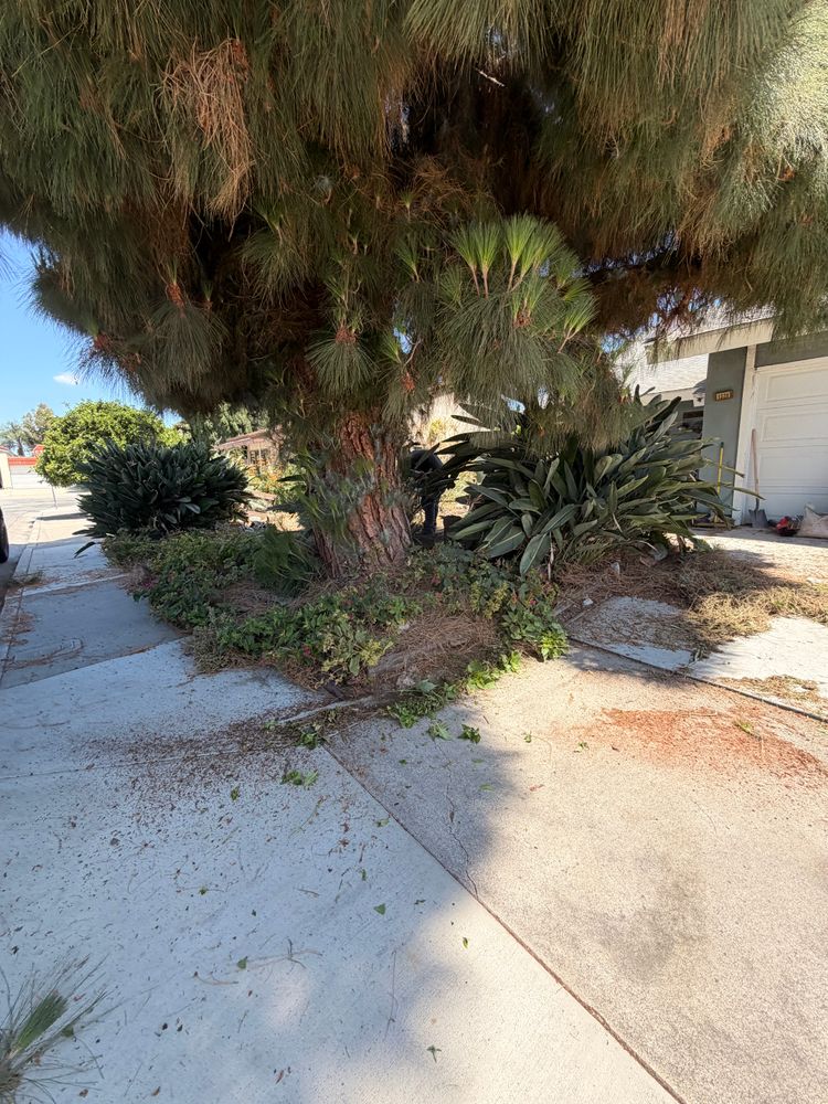 All Photos for JJs Relocation Services in Orange County, CA