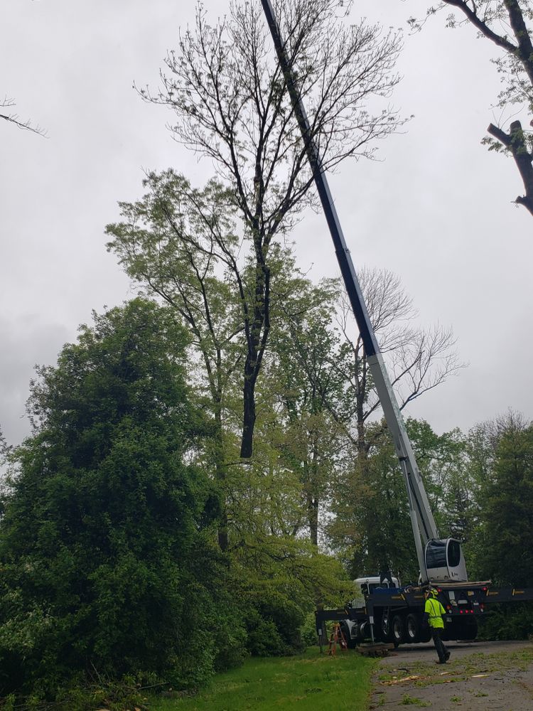 All Photos for Freedom Outdoor Services in Glen Mills, PA