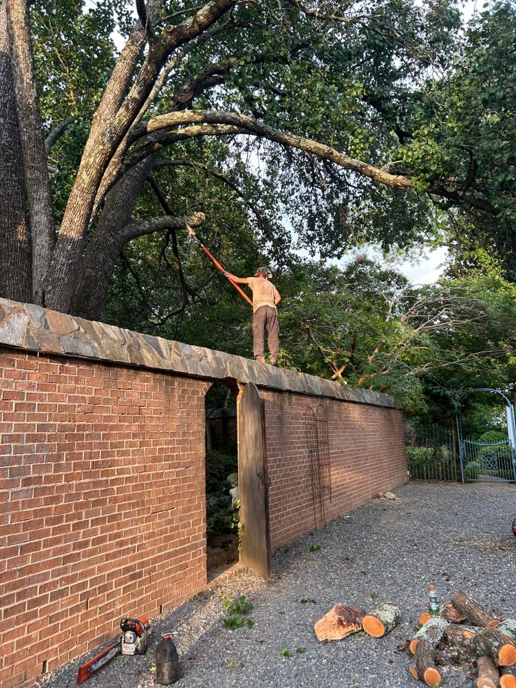 All Photos for Oakhurst Landscaping and Tree Service in Charlotte, NC