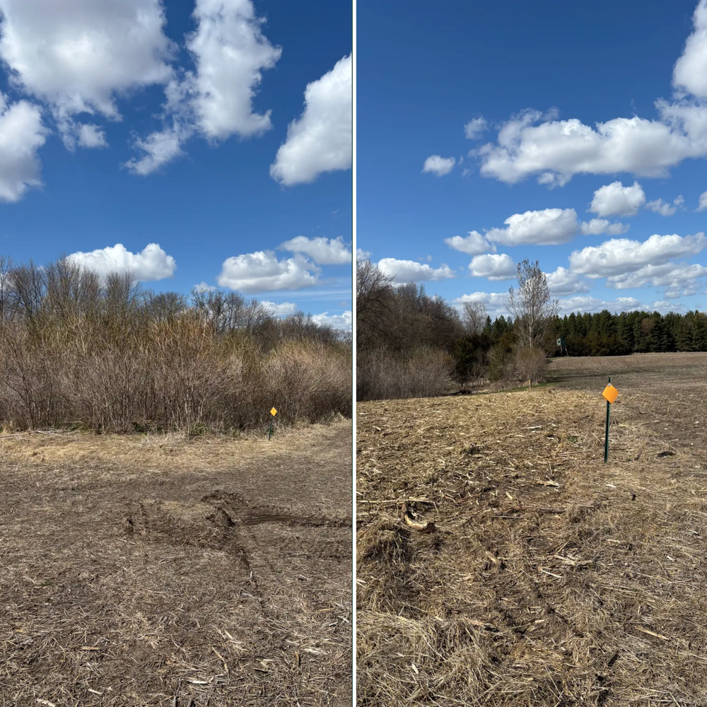 All Photos for Root Land Management in Watkins, MN