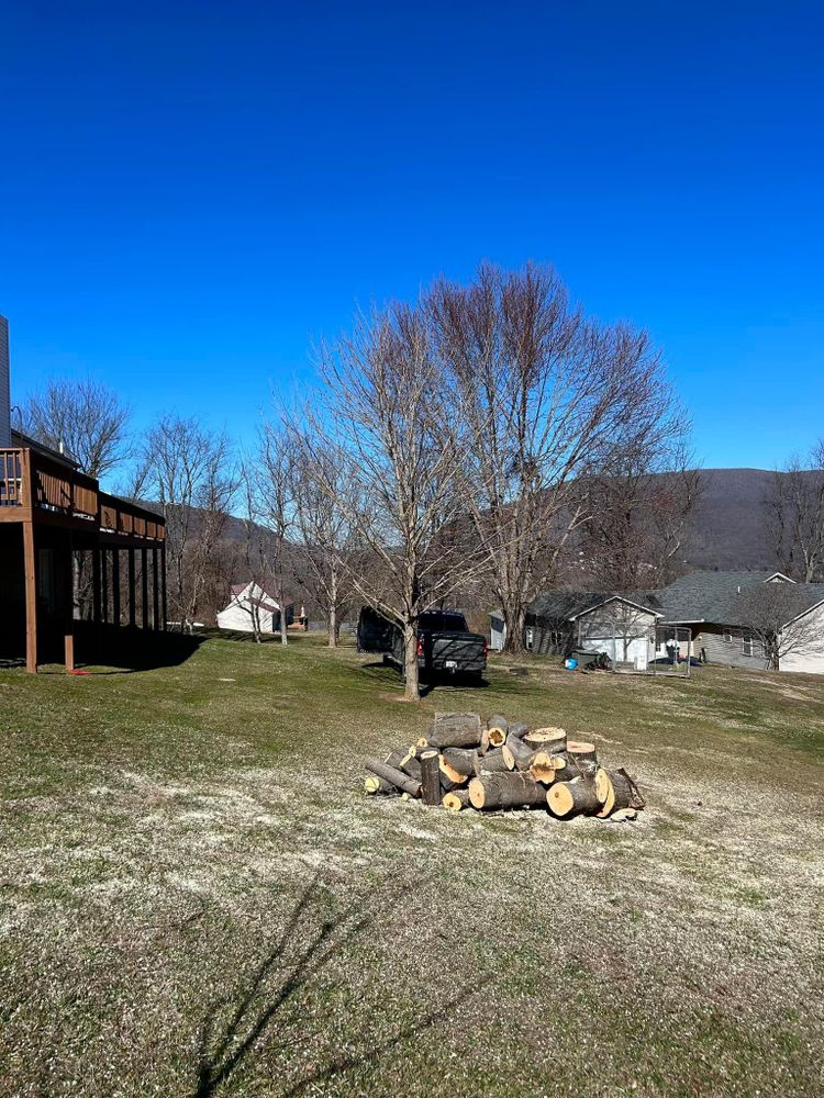 All Photos for NRV Tree Pro, LLC in Narrows, VA