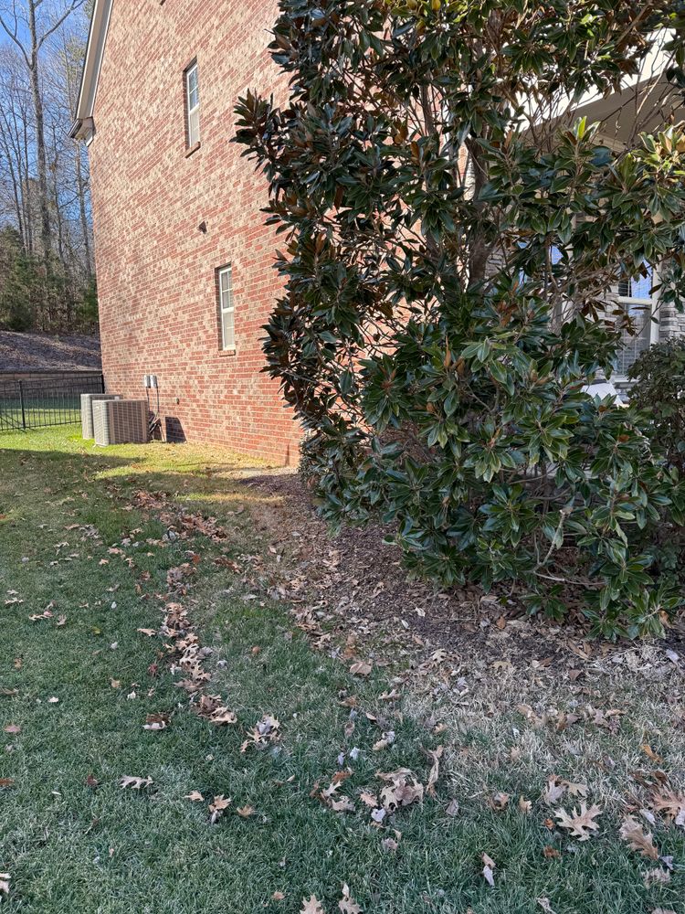 Before for Dream Cuts Landscaping and Lawn Care LLC in Gastonia, NC