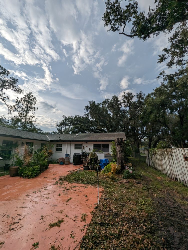 All Photos for Regal Tree Service and Stump Grinding in Wauchula, FL