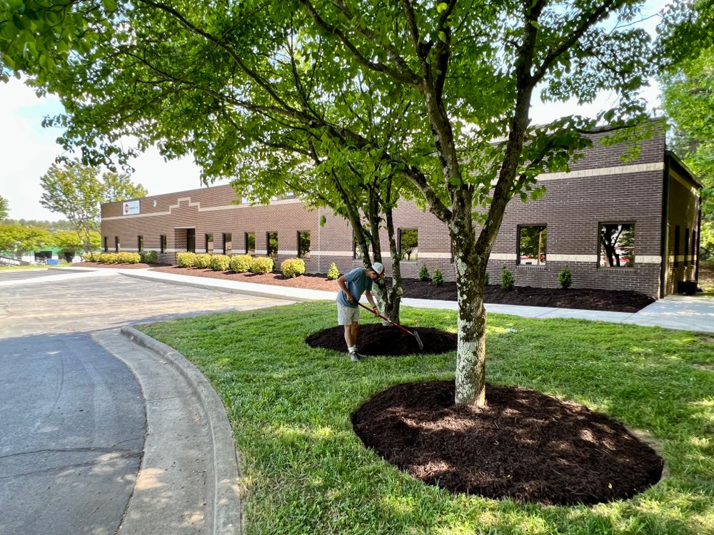 Our Commercial Full Service Maintenance programs ensure pristine landscapes year-round, offering personalized care like mowing, pruning, fertilizing, and parking lot maintenance to keep your property looking its best without hassle. for Malboeuf Landscaping, Inc in Kernersville, NC