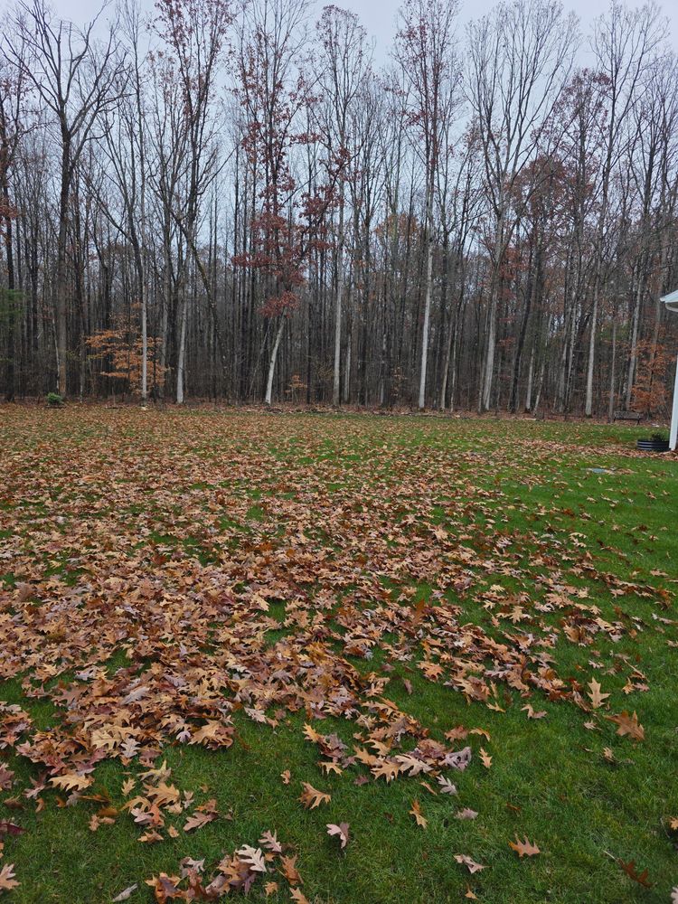 All Photos for Sweet Scapes in Ballston Spa, NY