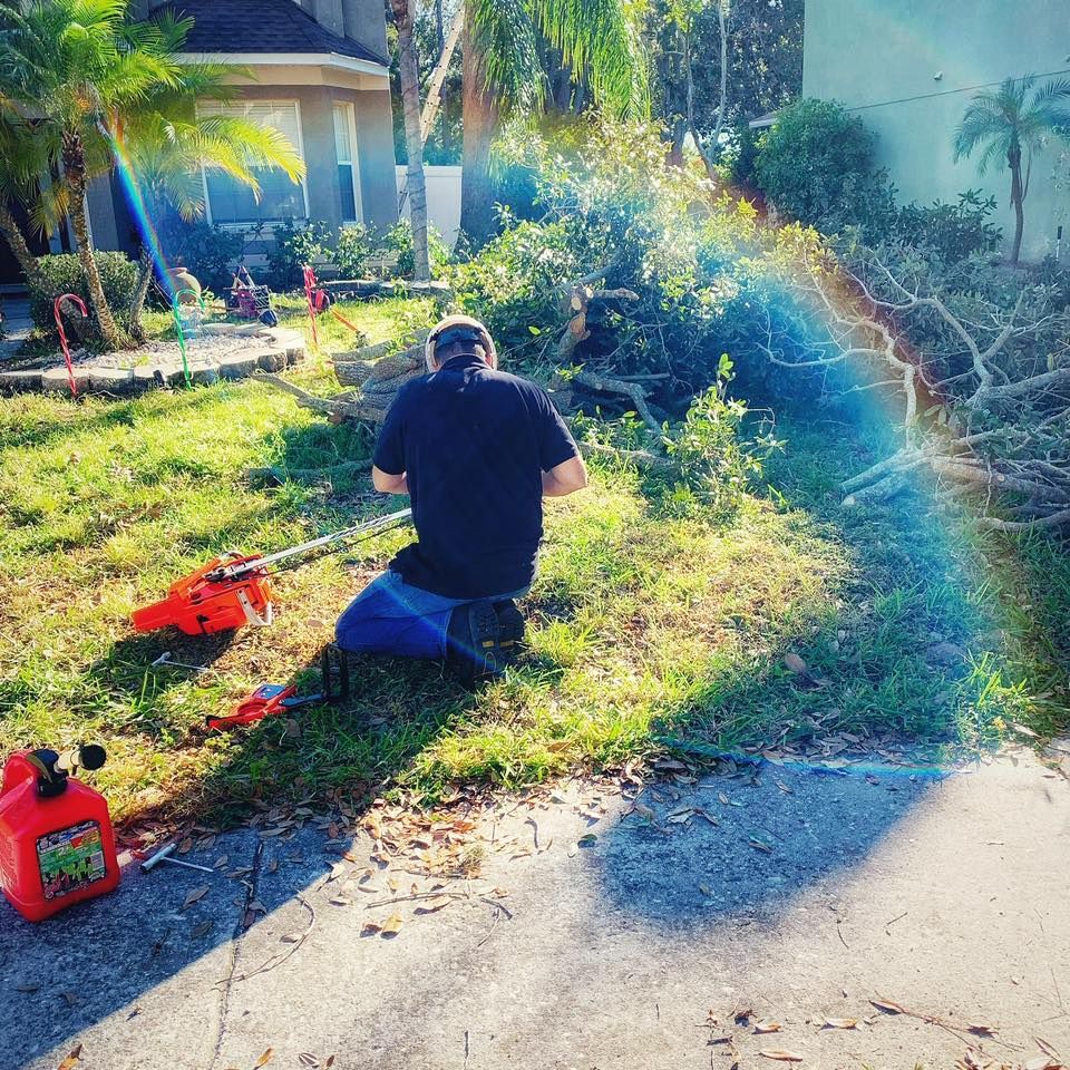 Tree Removal for The Third Day Land Management Company  in Tampa,  FL