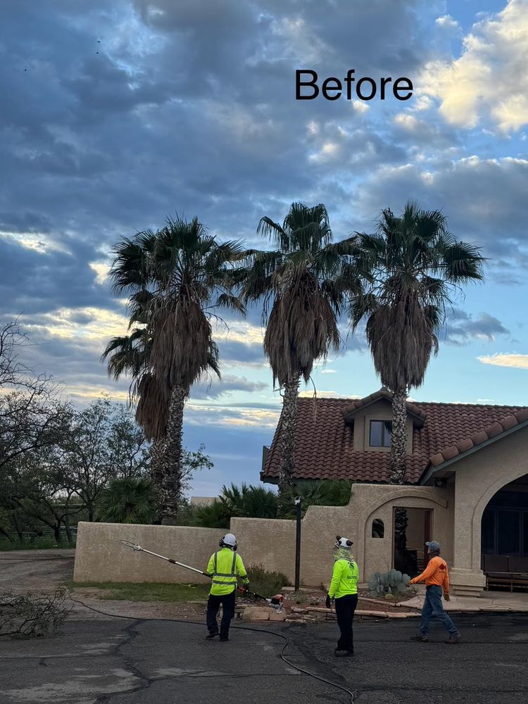 All Photos for By Faith Landscaping in Sierra Vista, AZ