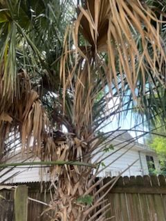 All Photos for Perfect MOs Landscaping in Hudson, FL