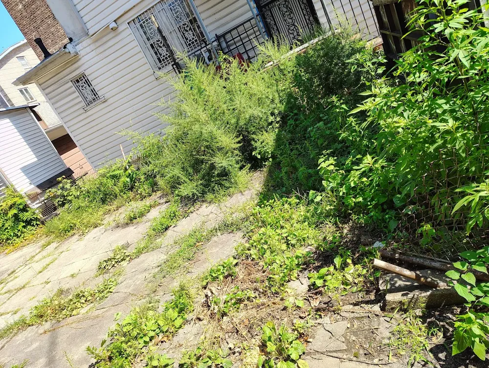 All Photos for Ortiz & Puchi General Cleaning INC. in Brooklyn, NY