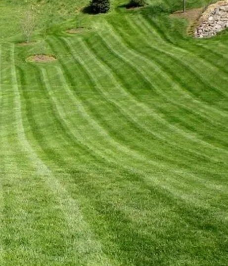 Our Lawn Maintenance service keeps your yard healthy, neat, and beautiful with routine mowing, edging, trimming, fertilization, and seasonal care—saving you time while enhancing curb appeal year-round. for Garcia Lawn Service & Landscaping in Lafayette, TN