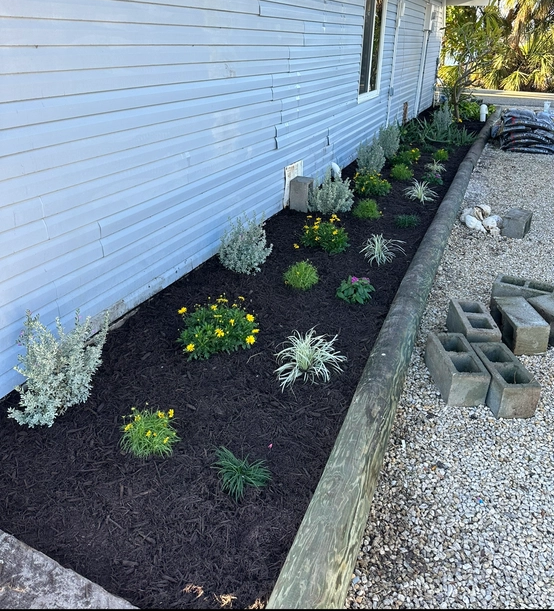 All Photos for MX Trees LLC in Englewood, FL
