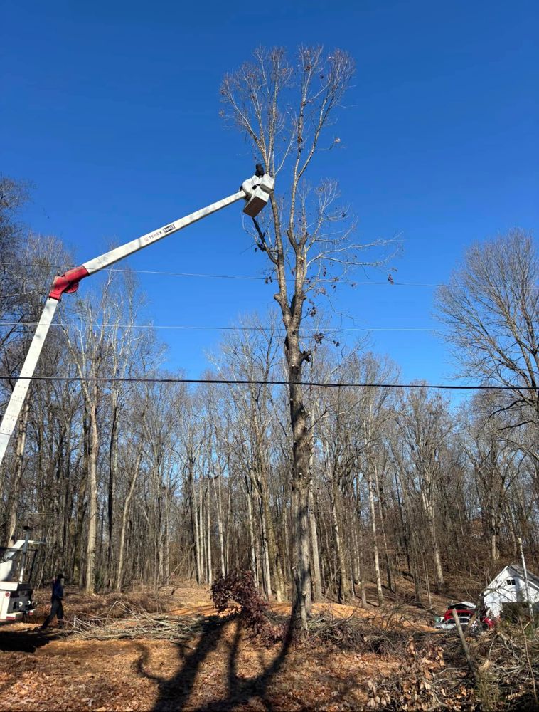 Tree Removal  for ABW Property Professionals in Hope Mills, NC