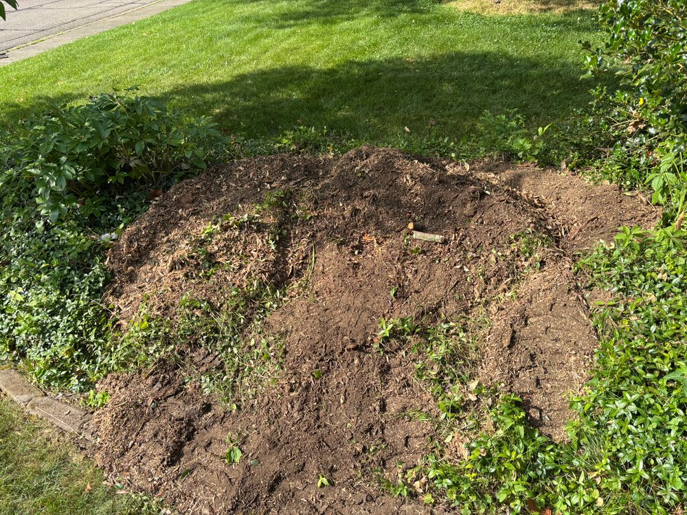 All Photos for Conrad's Stump Removal in Columbus, IN