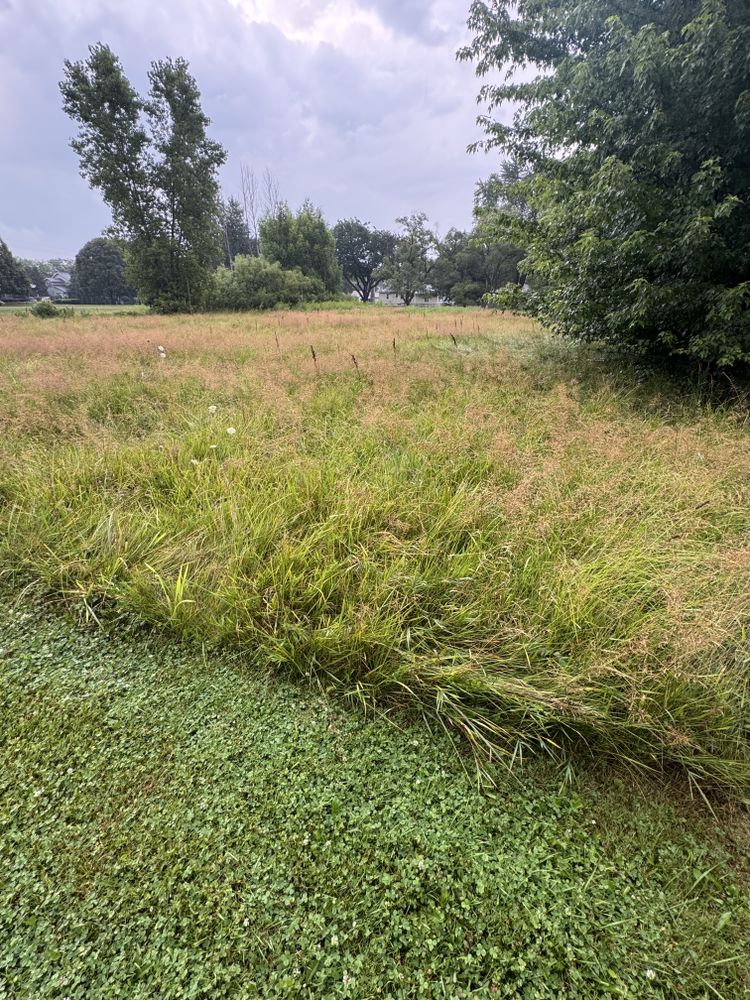 Landscaping Lawn Care for Daugherty's Tough Lawn Care in Essexville, MI