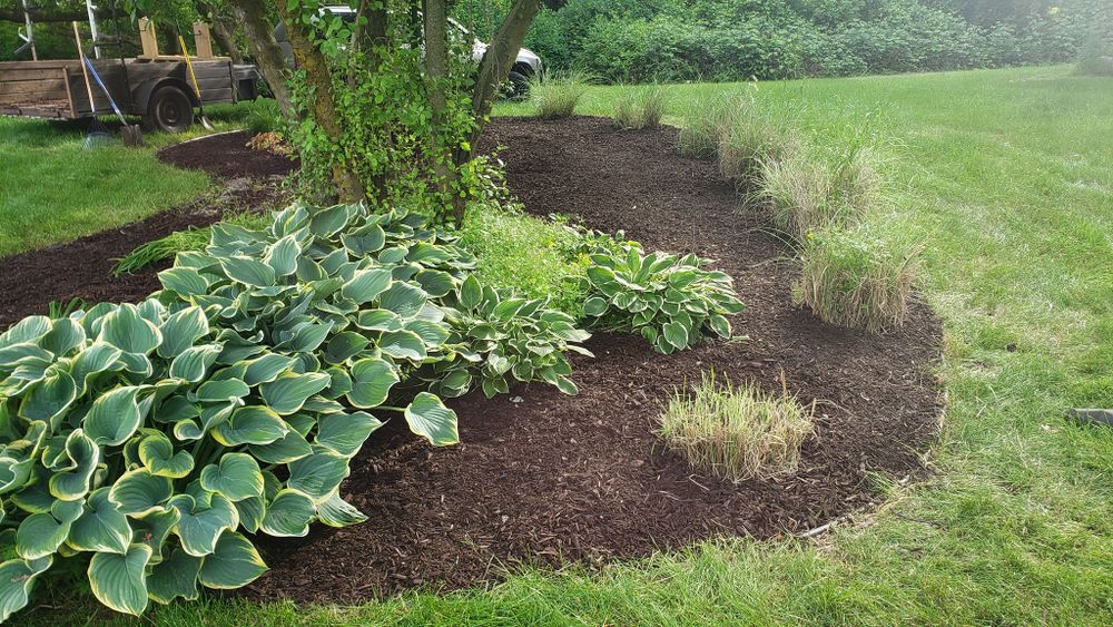 All Photos for Land Movers in Kalamazoo County, MI