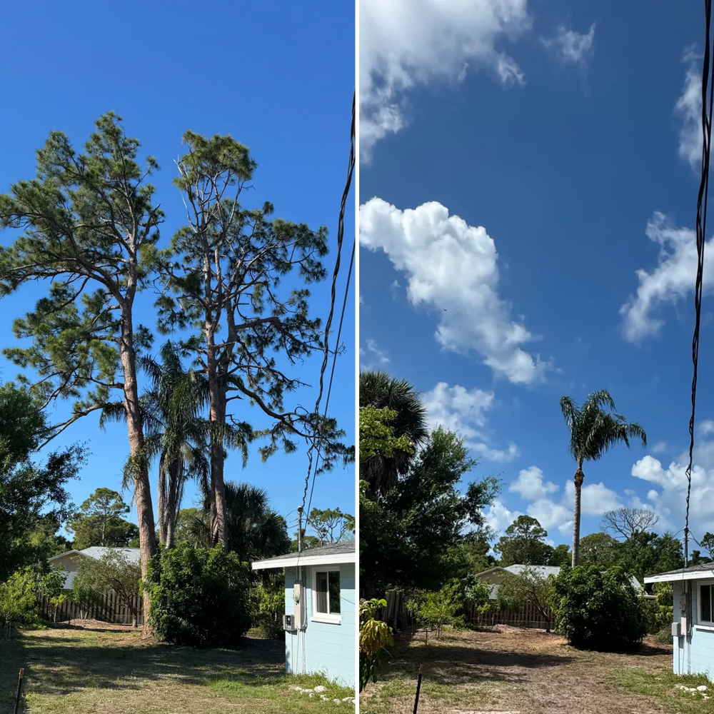 All Photos for Lemon Bay Tree Service  in Englewood, FL