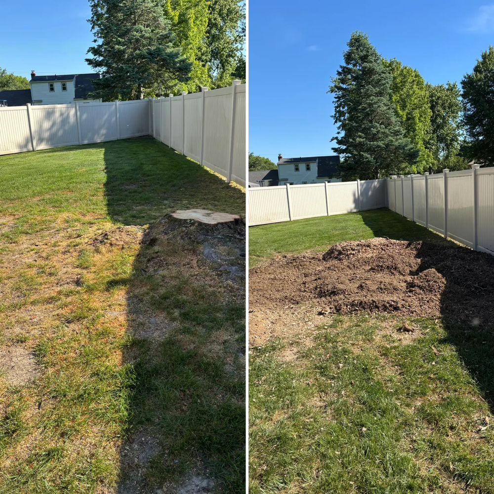 All Photos for Dean's Stump Removal in Youngstown, OH