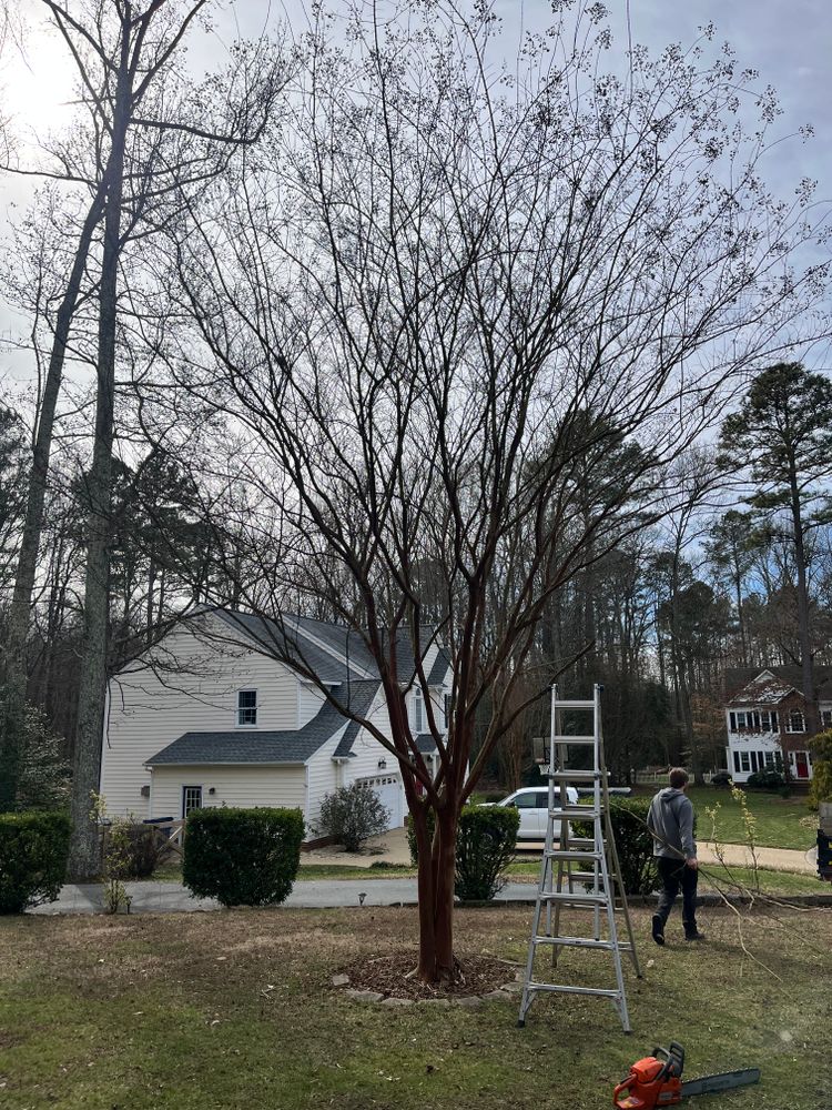 All Photos for Atlas Home Services in Mechanicsville, VA