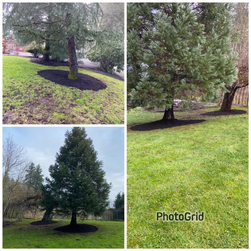 Orange Landscape team in Woodburn, OR - people or person