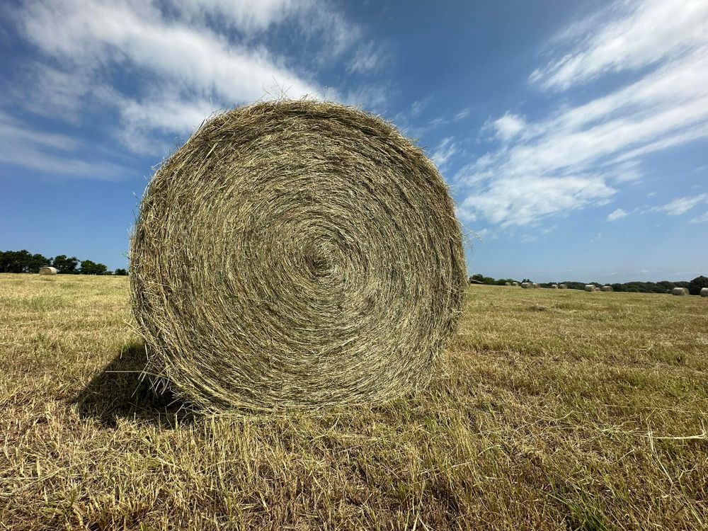 Transform your property with our Hay Bailing service, efficiently clearing land and preparing fertile spaces for future use. Our expertise ensures clean, sustainable land management tailored to meet your needs. for Circle W Services in Canton, TX