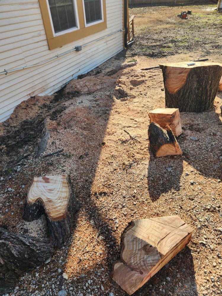 All Photos for Paquito's Landscaping in Ellis County, TX