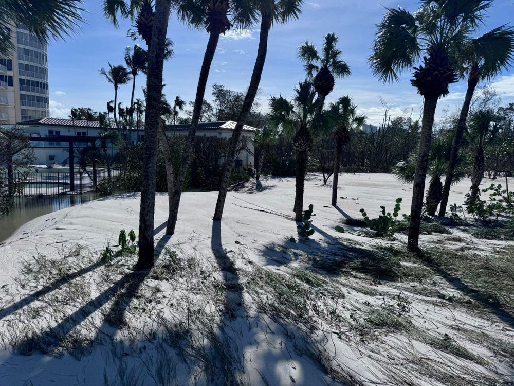 All Photos for McLeran in Naples, FL