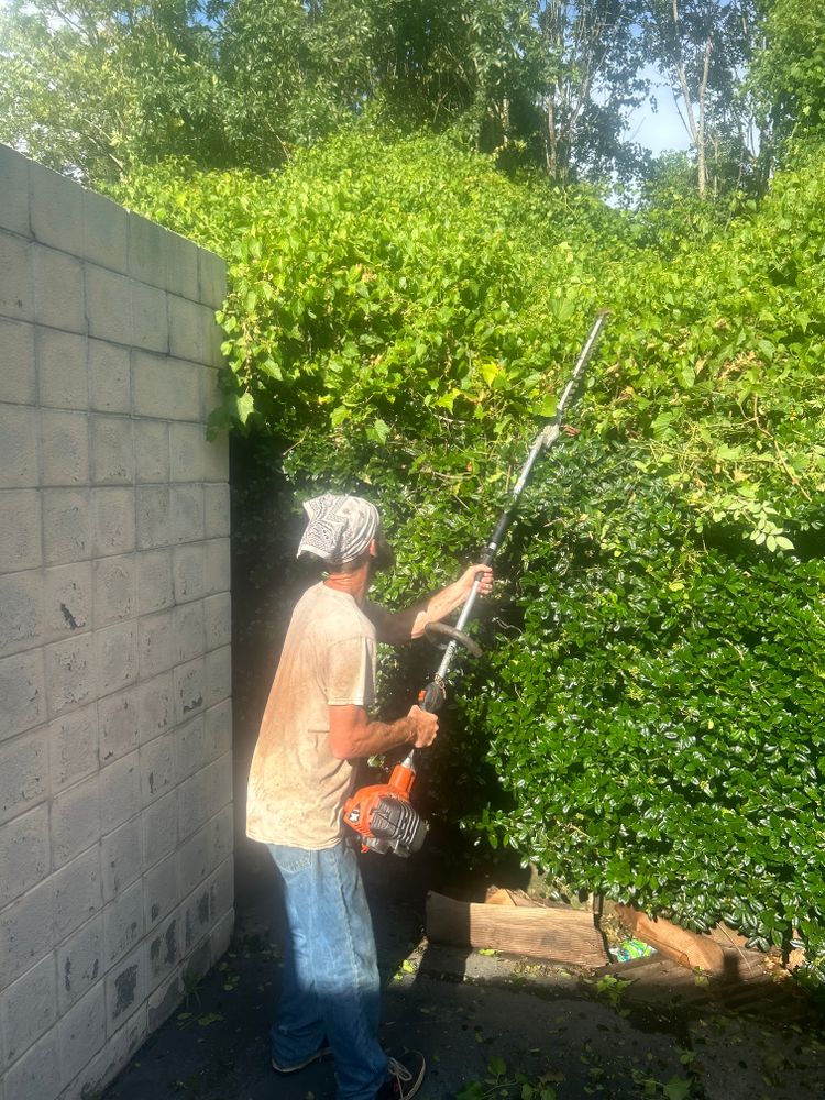 All Photos for Oakhurst Landscaping and Tree Service in Charlotte, NC