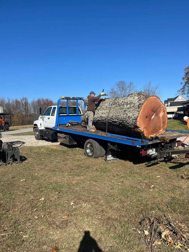 All Photos for Curtis Tree Service LLC in Hopkins County, KY